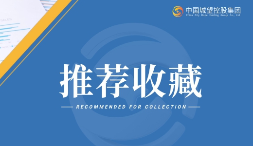 收藏丨2025年回頭看：地方城投都在布局哪些新業(yè)務(wù)？