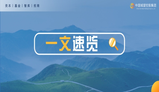 收藏！2025年上半年城投化債 、融資十大政策和事件梳理